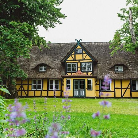 Herrenhaus Gut Dorotheenthal 达普 外观 照片